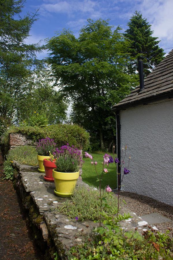 Druminoch Angus Exterior foto